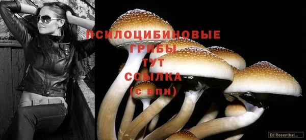 меф Вязьма