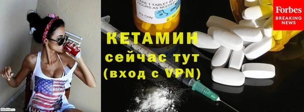 прущие грибы Вязники