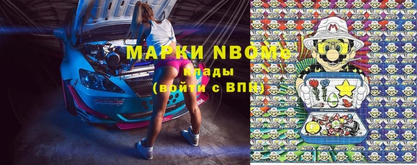 прущие грибы Вязники