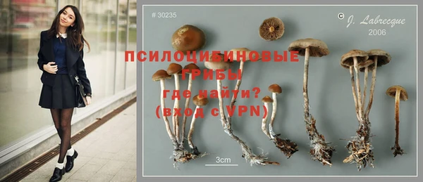 MDMA Вяземский