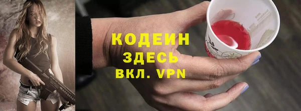 прущие грибы Вязники