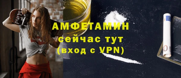 прущие грибы Вязники